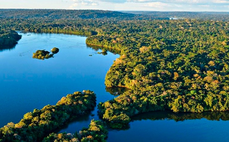 Amazônia - Bolsa Verde