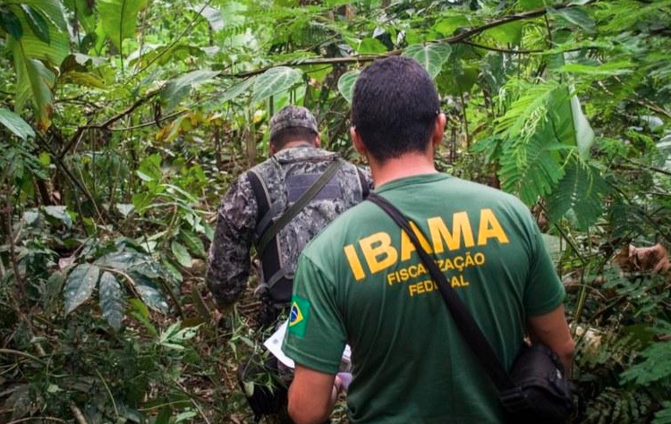 IBAMA fiscalização ambiental